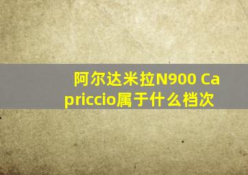 阿尔达米拉N900 Capriccio属于什么档次